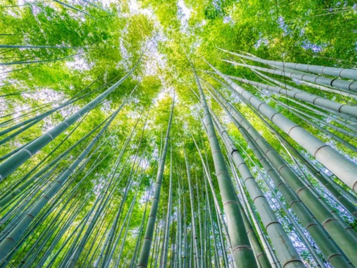 Kamakura COCON Hotel Eksteriør billede
